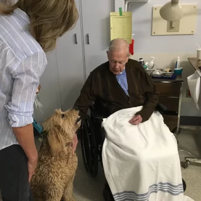 therapy-dogs-1